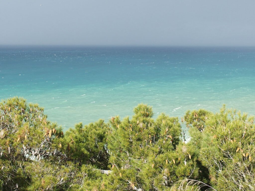 55-2019121921510612-1024x768 Cap Tinjis , Une Magnifique Residence a Tanger